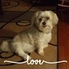 marilynhutch511